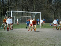 0DIA 1986 RAVA C1